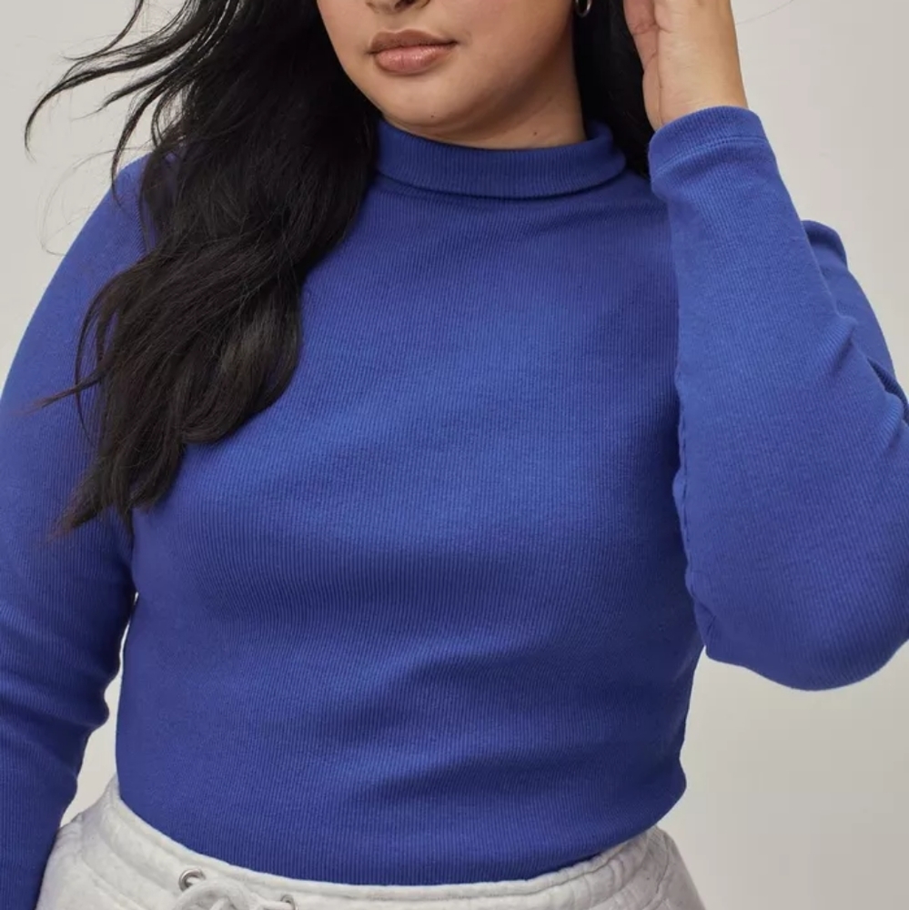 Blue Fitted Roll Neck Long Sleeve Top